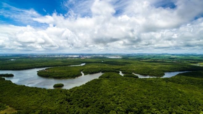 A Floresta Amazônica é questão central no debate ecológico internacional (Foto: GETTY IMAGES/BBC News Brasil)