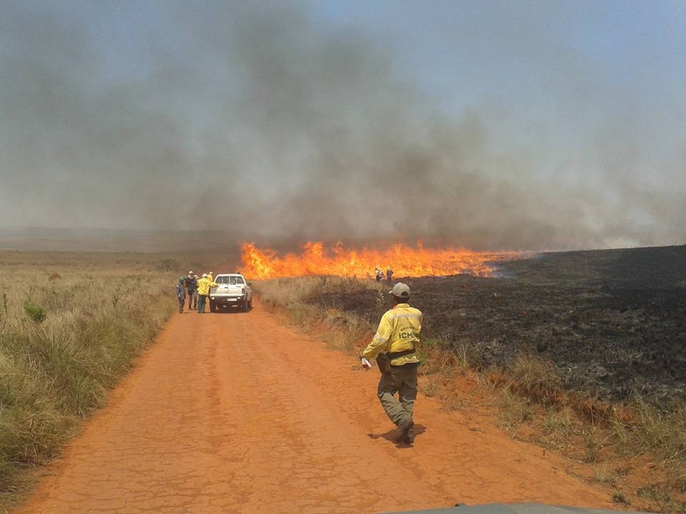 Anualmente a vegetação na Serra da Canastra é devastada por incêndios  — Foto: Welder Rafael/Arquivo Pessoal