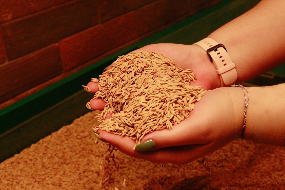 Brasil tem 1,7 mil toneladas de arroz em estoque. Em 2013, havia 1,5 milho de toneladas.  Foto: Divulgao