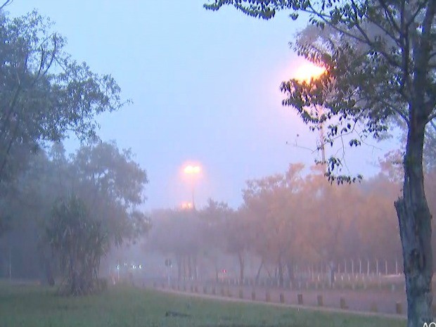 Nevoeiro Campo Grande (Foto: Reprodução/ TV Morena)