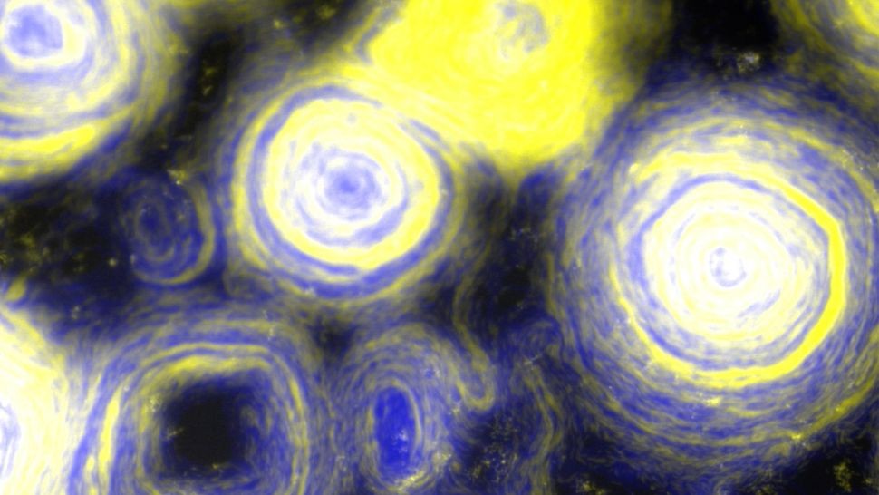 Uma mistura de duas cepas de mixobactérias, uma que superexpressa TraAB (amarelo) e outra que é não adesiva e não reversível (azul) com aumento de x10. (Foto: D. Wall/University of Wyoming)