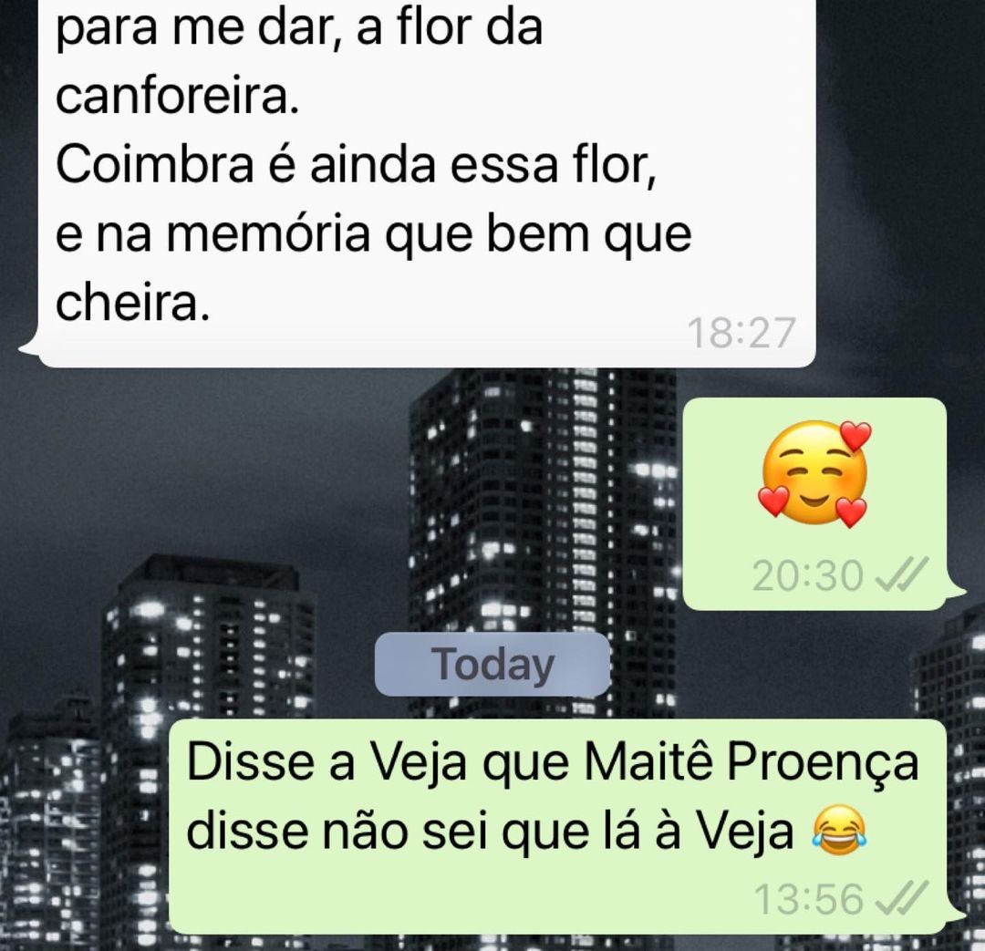 Adriana Calcanhotto mostra conversa de WhatsApp sobre matéria de romance com Maitê Proença (Foto: Reprodução Instagram)