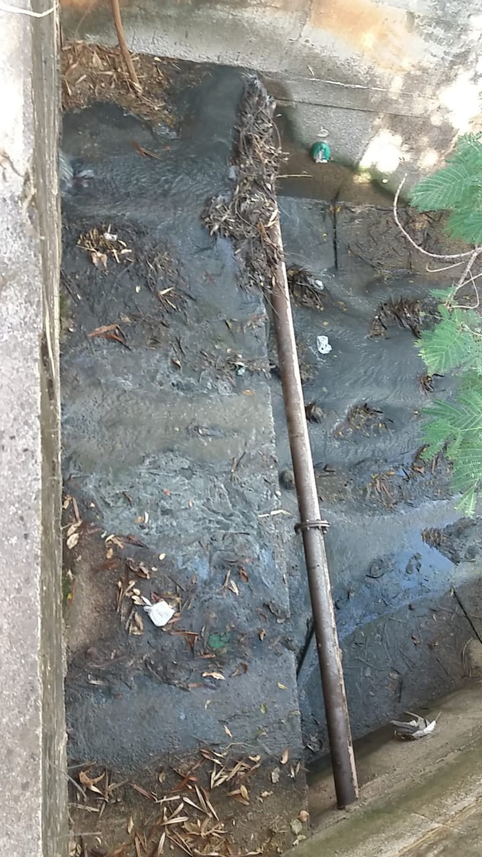 Moradores reclamam de esgoto a céu aberto em parque ecológico de Presidente Prudente (SP). — Foto: Cedida