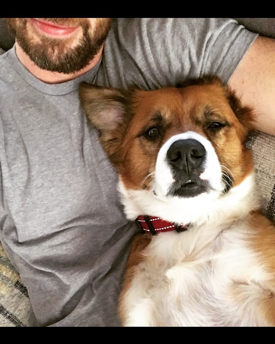 Chris Evans posta foto com cachorro (Foto: Instagram/ Reprodução)