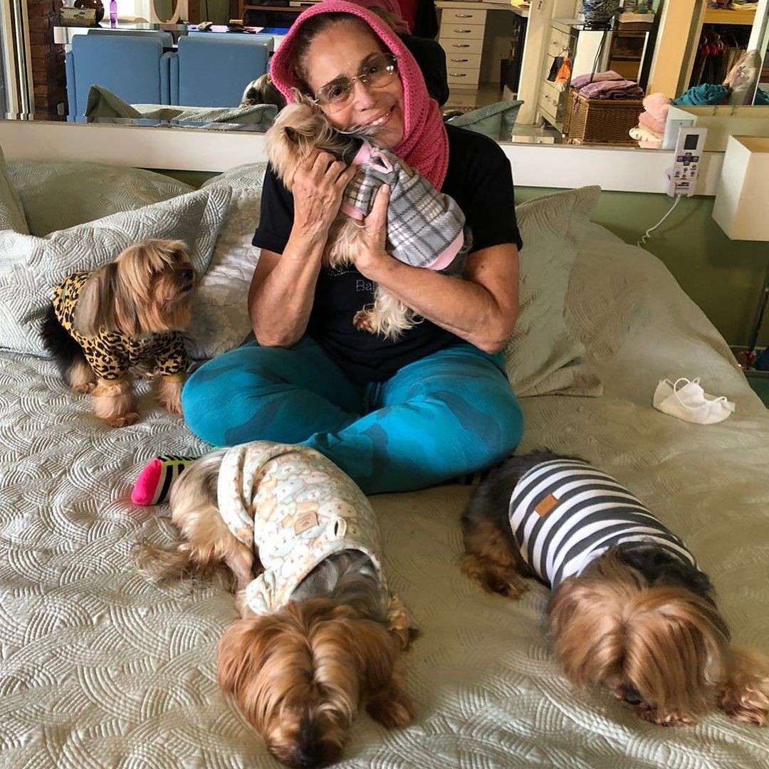 Susana Vieira passa frio, com seus cachorros, no Rio de Janeiro (Foto: Reprodução Instagram)