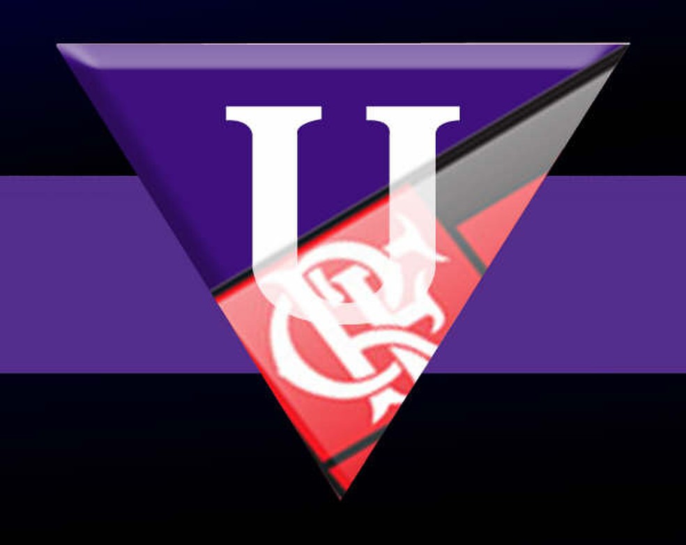 Protótipo da Liga dos Urubus? Outra imagem mostra mistura de escudos de Flamengo e LDU — Foto: Divulgação