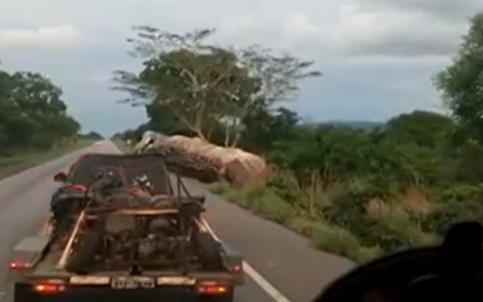 Carreta tomba na BR-020, em Formosa — Foto: Reprodução/TV Anhanguera
