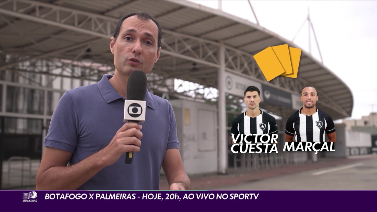 Botafogo X Palmeiras - Hoje, 20h, ao vivo no sportv