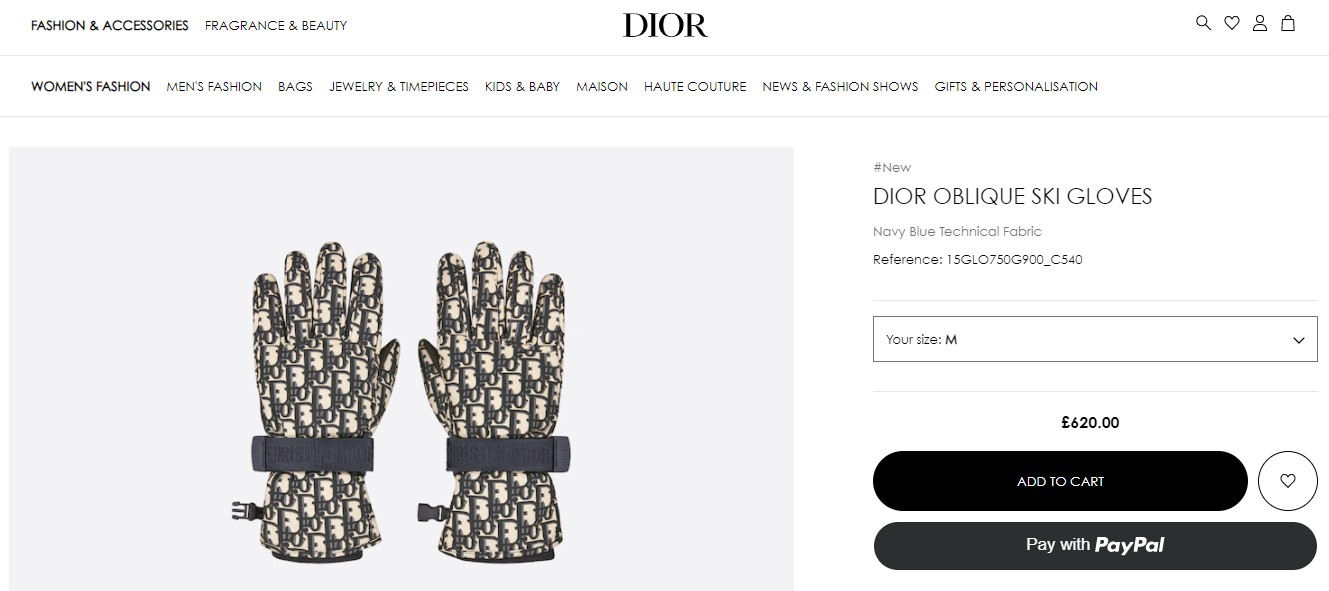 Luva Ski Dior (Foto: Reprodução/ Instagram)