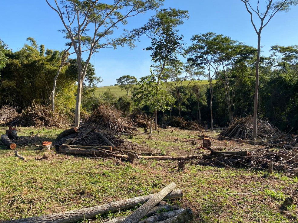 Fiscaliza&ccedil;&atilde;o foi feita nesta sexta-feira (24), em Presidente Prudente &mdash; Foto: Pol&iacute;cia Ambiental 