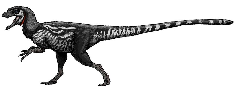 Uma das espécies mais antigas de dinossauros no Brasil é o Staurikosaurus pricei — Foto: Felipe A. Elias/Paleozoo Brazil