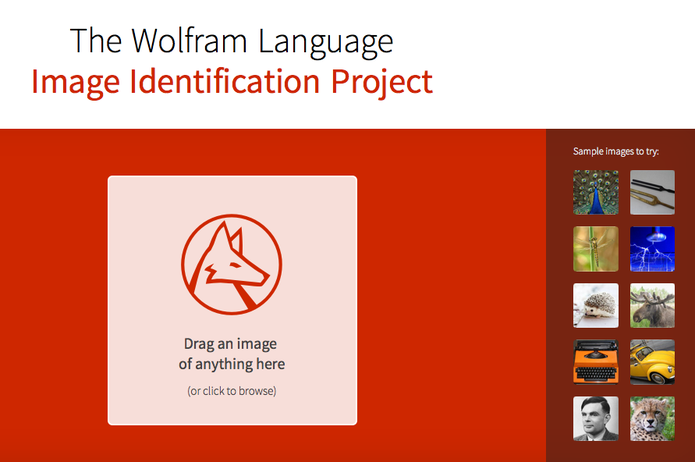 Image Identification Project reconhece imagens por scan automático do Wolfram (Foto: Reprodução/Image Identify)