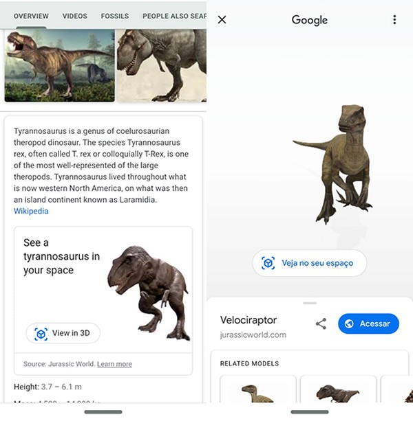 Modelos De Animais E Jogos Secretos 6 Funcoes Pouco Conhecidas Do Google Lancadores E Buscadores Techtudo