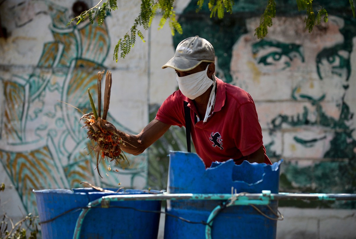 Cuba comemora ausência de transmissão local de Covid-19 pela 1ª vez em quase 4 meses