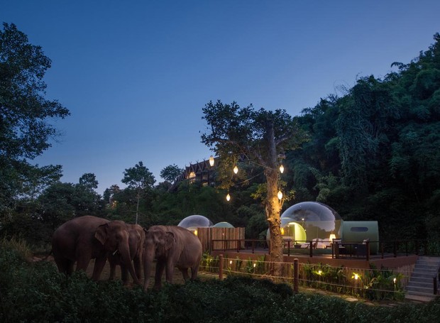 Chamado de Ananatara Golden Triangle Elephant Camp & Resort, o hotel fica em meio a uma grande floresta tailandesa, na cidade de Chiang Rai (Foto: Designboom/ Divulgação)