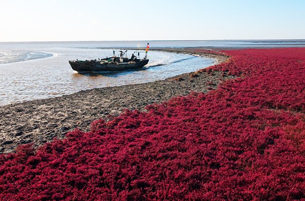 red beach (Foto: Douglas Du/Flickr)