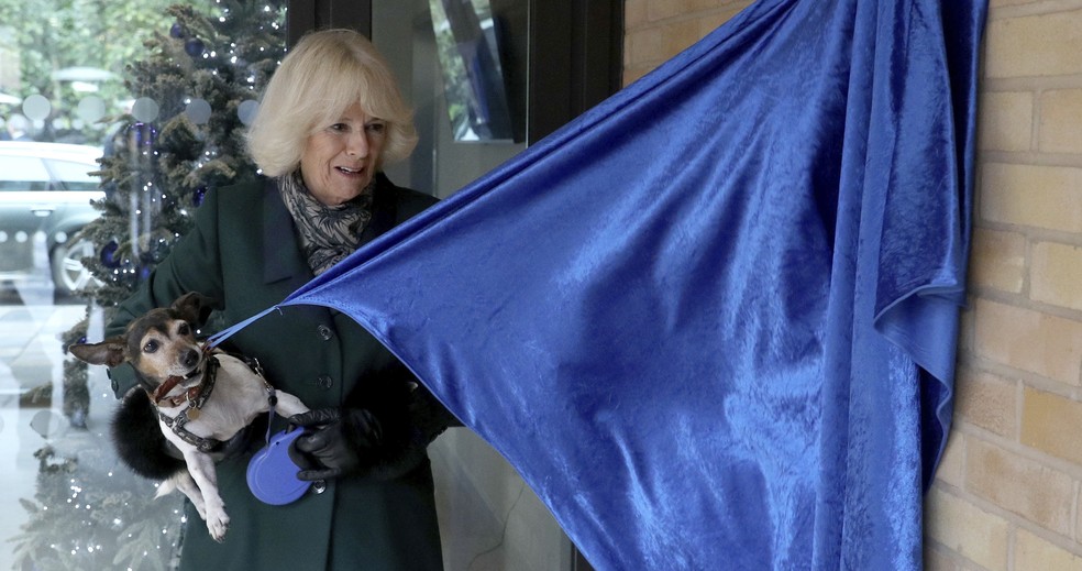 Rainha consorte, Camilla, segurando a cadelinha Beth durante evento da Battersea enquanto ela morte uma bandeira — Foto: Steve Parsons/PA via AP