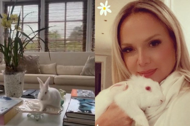 Eliana mostra seu coelho de estimação brincando na sala de estar (Foto: Reprodução/ Instagram)