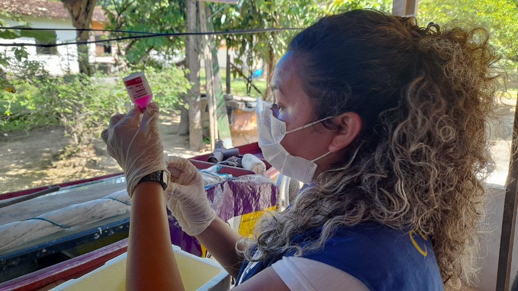 Vacinação antirrábica em Cortijuba vai até a tarde de domingo  — Foto: Sesma/Divulgação 