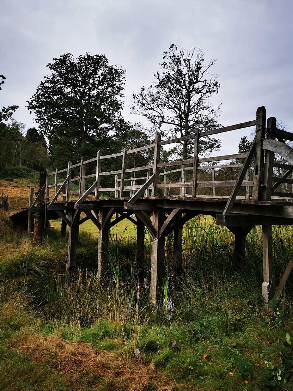 Ponte que inspirou desenho Ursinho Pooh foi leiloada para quase R$ 1 milhão — Foto: HANDOUT / Summers Place Auctions / AFP