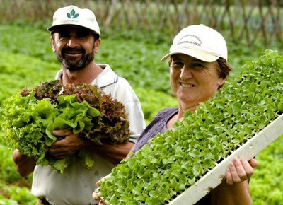 agricultura_familiar (Foto: Divulgação/MDA)