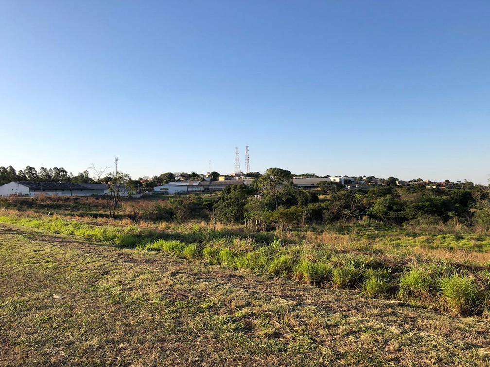 Ferrovia está abandonada na região de Presidente Prudente — Foto: Luís Augusto Pires Batista/TV Fronteira
