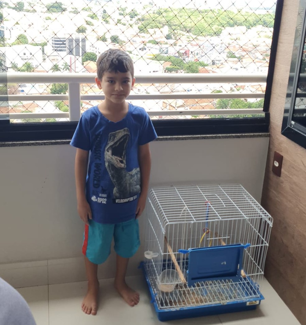 Kelly disse que o filho está muito triste sem o pássaro de estimação — Foto: Arquivo pessoal