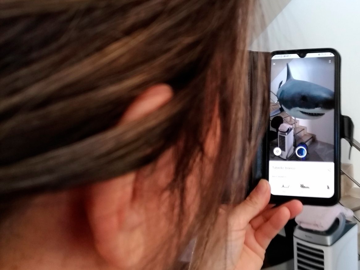 Google cria ferramenta de realidade virtual para seu filho brincar com  animais em 3D durante a quarentena