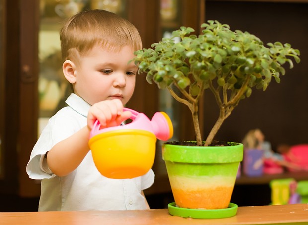 Criança regando a planta (Foto: Shutterstock)