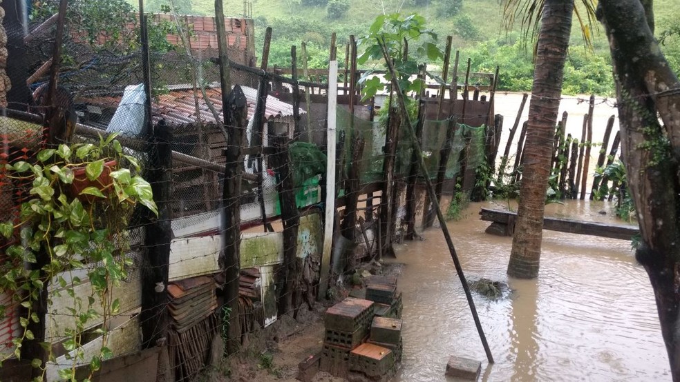 Nível do Rio Jacuípe elevou com as chuvas  (Foto: Edellys Cássia/Arquivo pessoal)