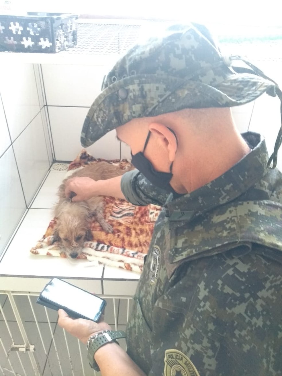 Animal apresenta desidratação e sinais característicos de cinomose e erlichiose canina — Foto: Polícia Ambiental