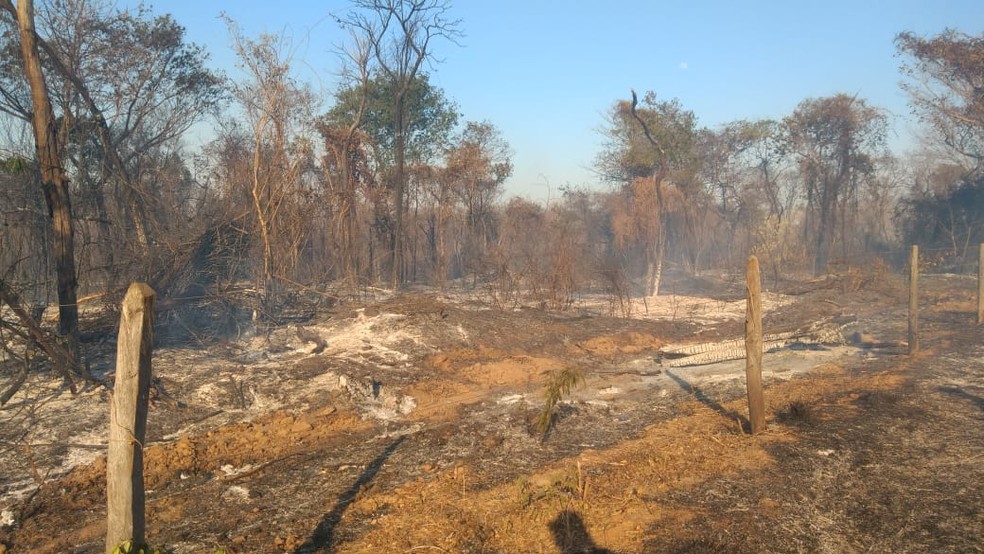 Chamas destruíram 250 hectares de vegetação — Foto: Corpo de Bombeiros/ Divulgação