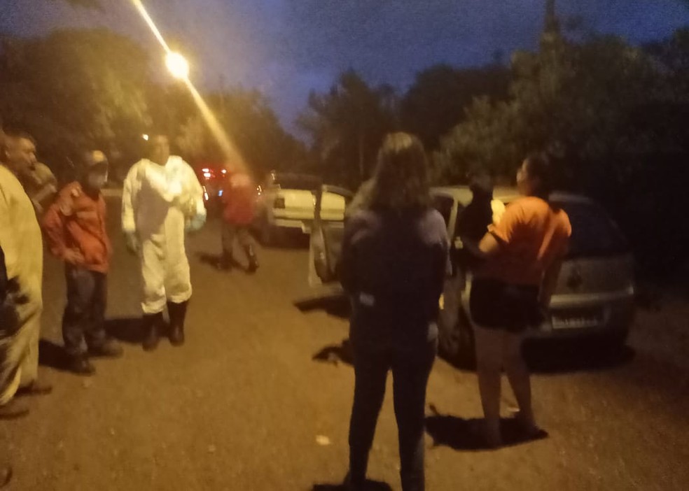 Ataque ocorreu em canil de Nova Odessa — Foto: Divulgação/ AAANO