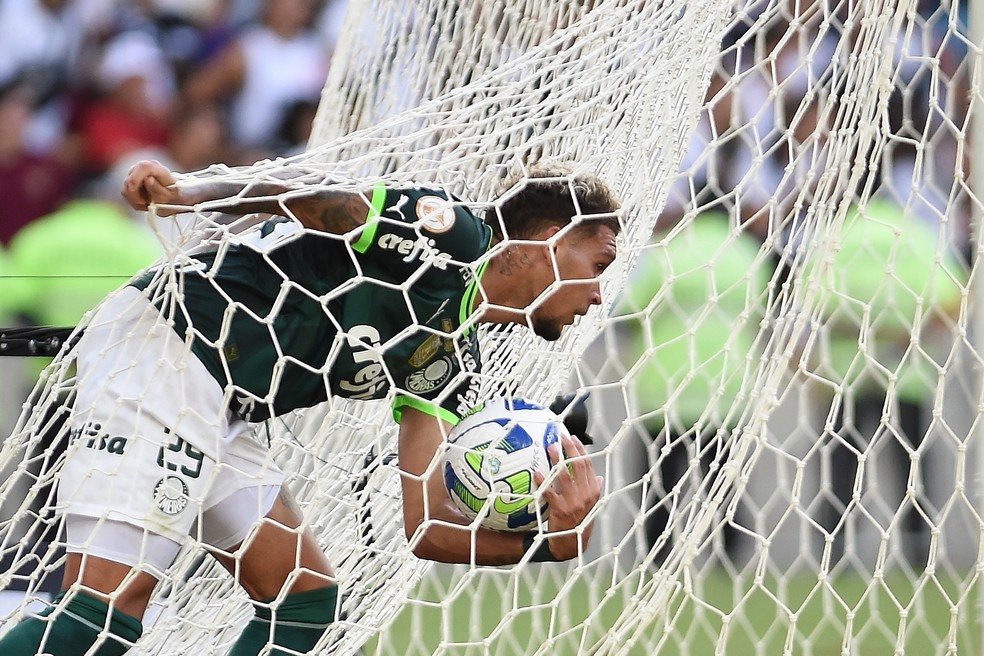 Gol de Rafael Navarro em Vasco x Palmeiras — Foto: André Durão