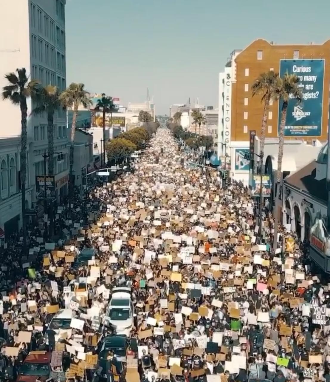 Protesto em Los Angeles reune 50 mil pessoas (Foto: Reprodução/ Instagram )