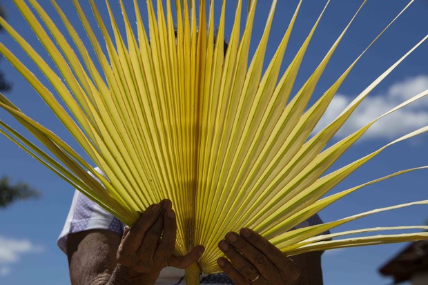 Exposição mostra trabalho de artesãs cearenses com a palha de carnaúba (Foto: Divulgação)