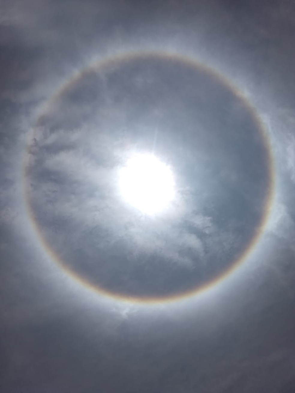 Círculo colorido se forma ao redor do sol  — Foto: Aline Nascimento/G1