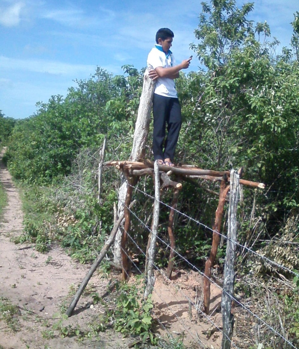 Estudante da zona rural do Ceará monta estrutura em cerca para conseguir sinal de internet e acompanhar as aulas remotas