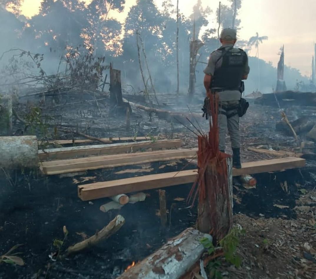 71% das queimadas em imóveis rurais neste ano na Amazônia ocorreram para manejo agropecuário, diz IPAM thumbnail