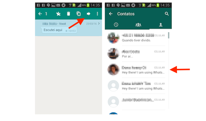 Definindo um contato para encaminha uma mensagem marcada com estrela no WhatsApp para Android (Foto: Reprodução/Marvin Costa)