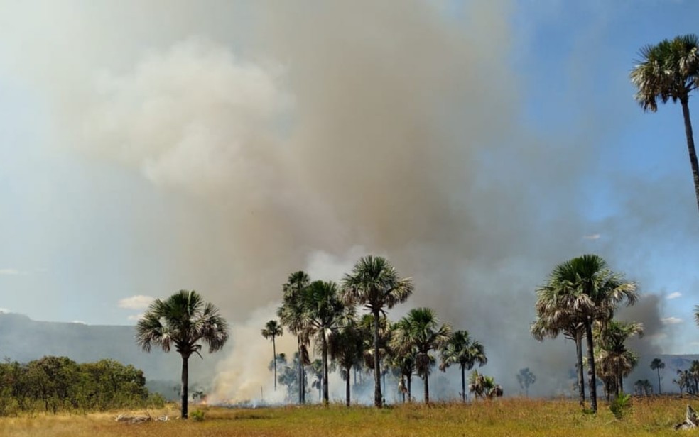 Incêndio queima área equivalente a 154 campos de futebol no Parque da Terra Ronca, famoso por estalactites— Foto: Divulgação/Brigada Aliança