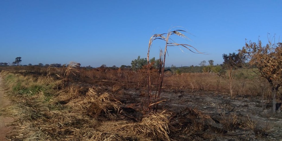 4,72 hectares foram consumidos pelo fogo, em Tarabai — Foto: Polícia Militar Ambiental 
