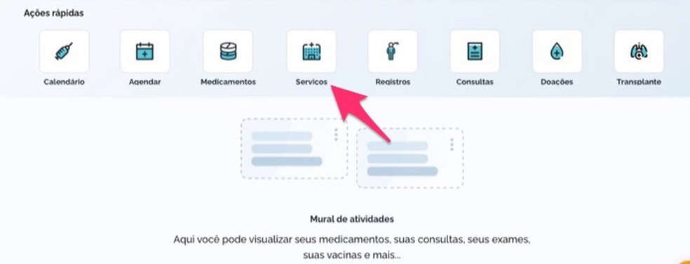 Ação para visualizar as opções para serviços no site Conecte SUS Cidadão — Foto: Reprodução/Marvin Costa