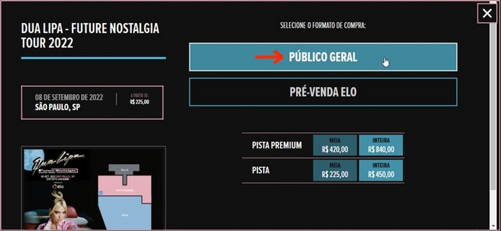 Escolha de compra de ingressos para público em geral ou cliente Elo — Foto: Reprodução/Raquel Freire