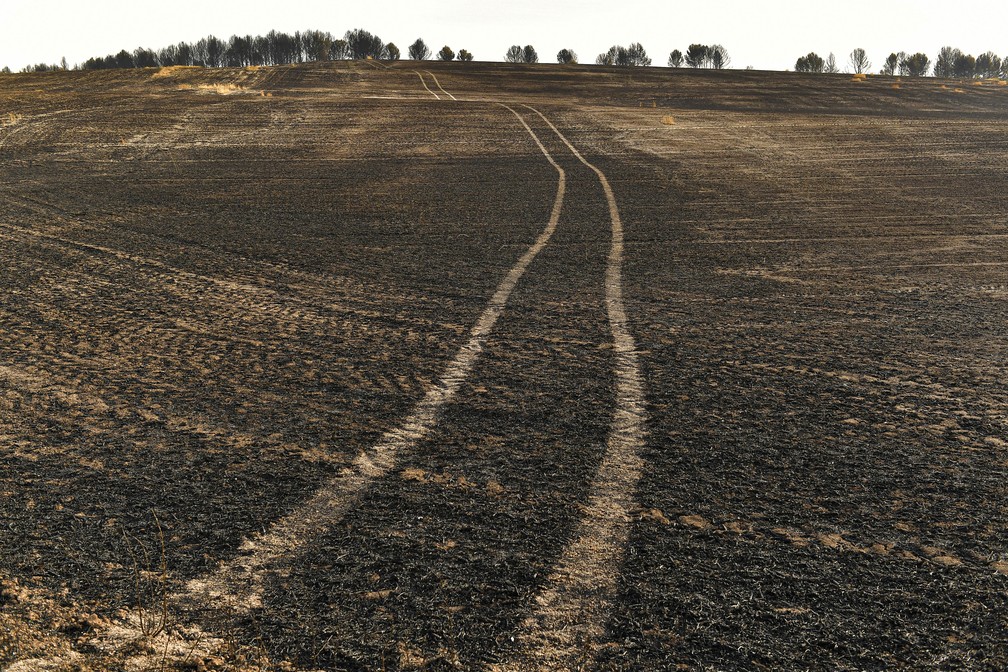 Vegetação queimada após incêndios florestais afetaram uma área perto de Miranda de Arga, ao norte da Espanha — Foto: ASSOCIATED PRESS