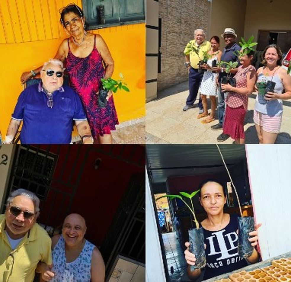 Magistado pretende retornar nas casas seis meses após a distribuição das mudas para ver como as plantas estão — Foto: Arquivo pessoal