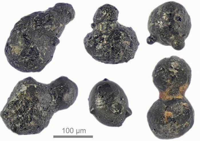 Partículas do meteorito encontradas na Antártica (Foto: Scott Peterson / micro-meteorites.com)