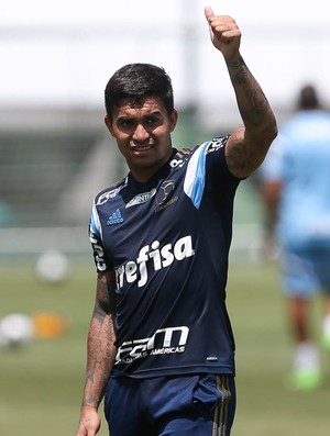 Flavio Canuto  Blog do Torcedor do Palmeiras