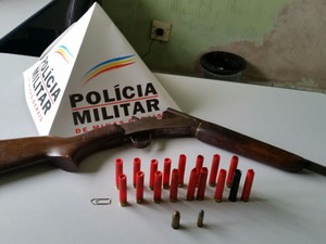 Arma de fogo e munição apreendidas em Entre Folhas (Foto: Divulgação / PM)