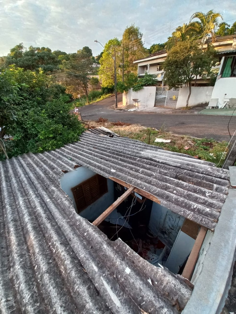 Vaca caiu do telhado, em Londrina — Foto: Mônica Dau/RPC